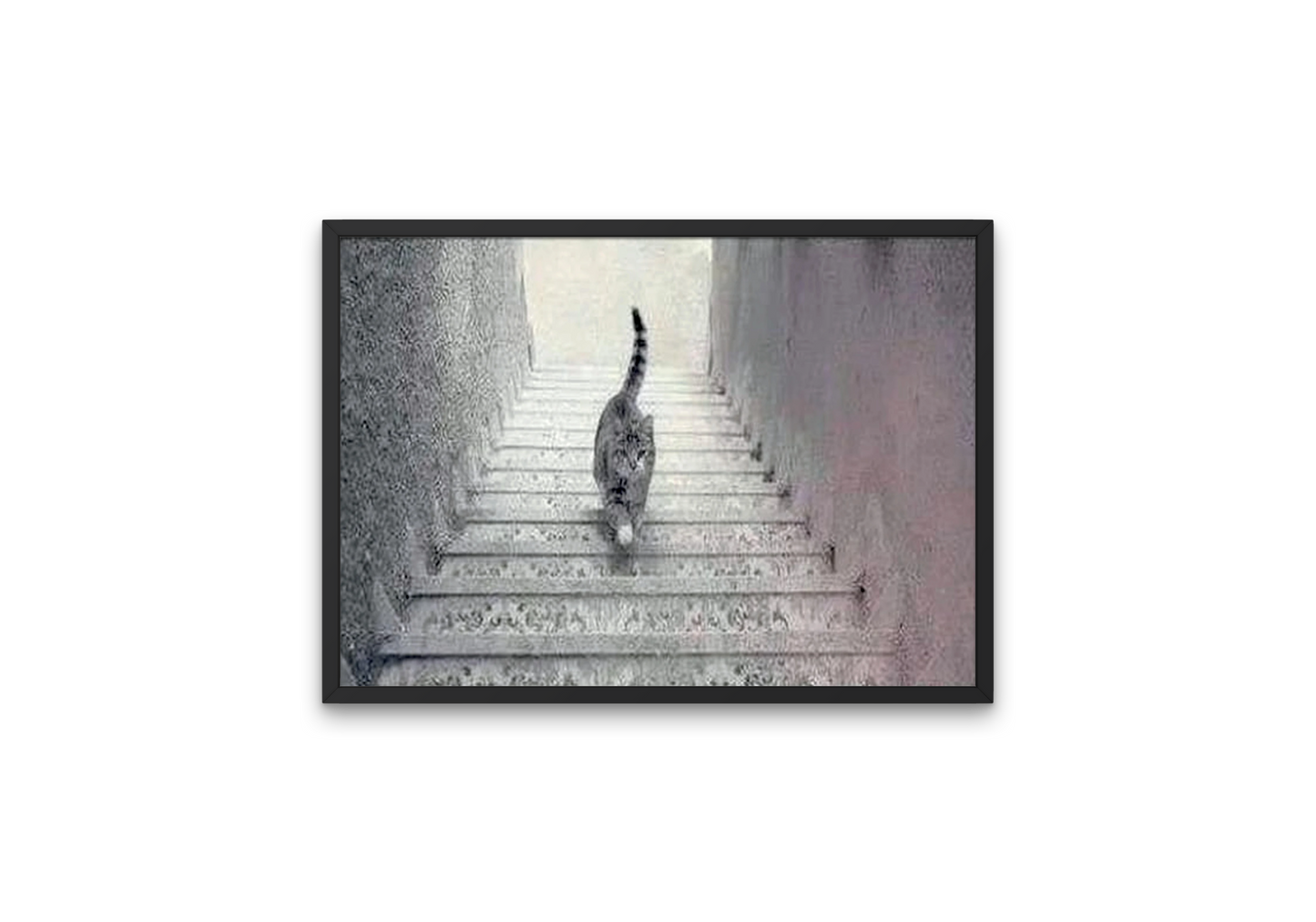 Image showing  an optical illusion of a cat going up or down the stairs