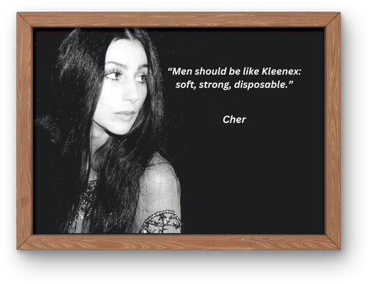 Iconic high-quality image of Cher featuring a humorous quote