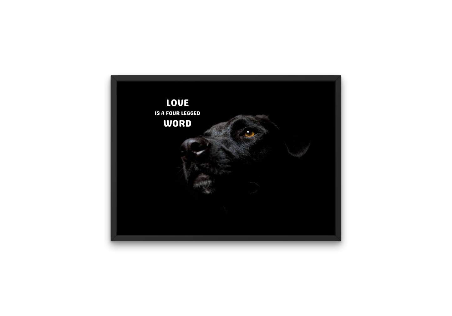 image of a beautiful black dog with dog love motto