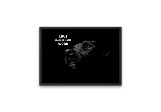 image of a beautiful black dog with dog love motto