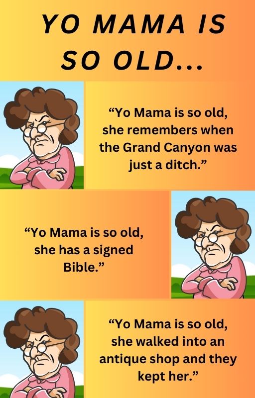 Picture of samples of jokes from the "Yo Mama" joke book