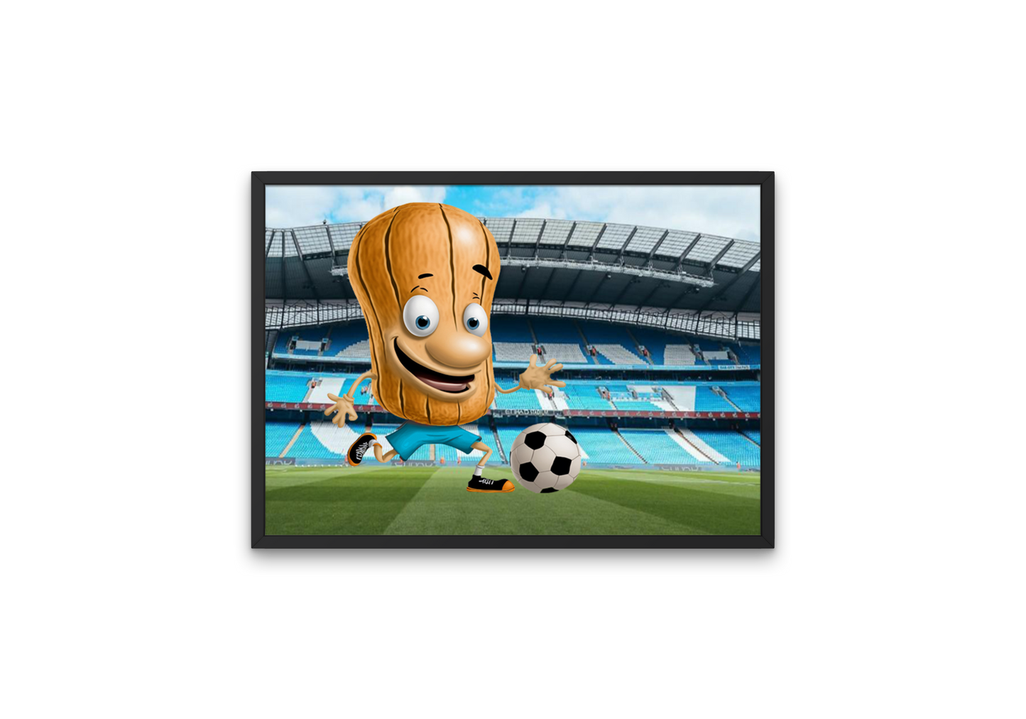 Image of funny football nut at the Etihad Stadium. The perfect gift Manchester City supporters