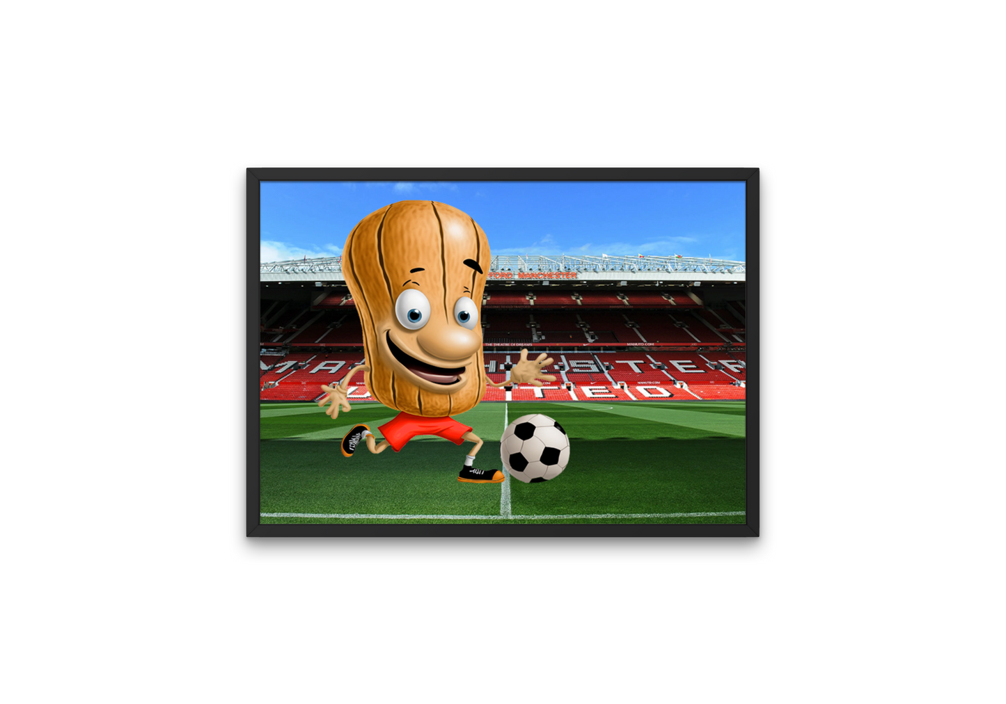 Unique and fun image of a football "nut" playing at Old Trafford. This high-quality wall art is the perfect gift for football lovers and Manchester United fans