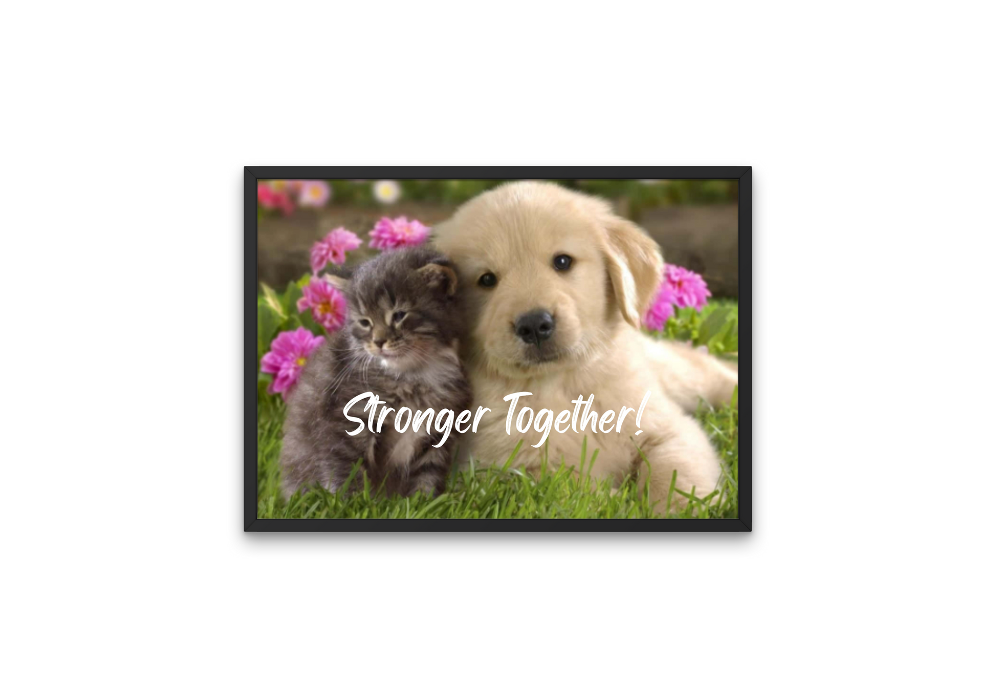 Picture of puppy and kitten sitting together and featuring the motto "Stronger together" a perfect gift for animal lovers 