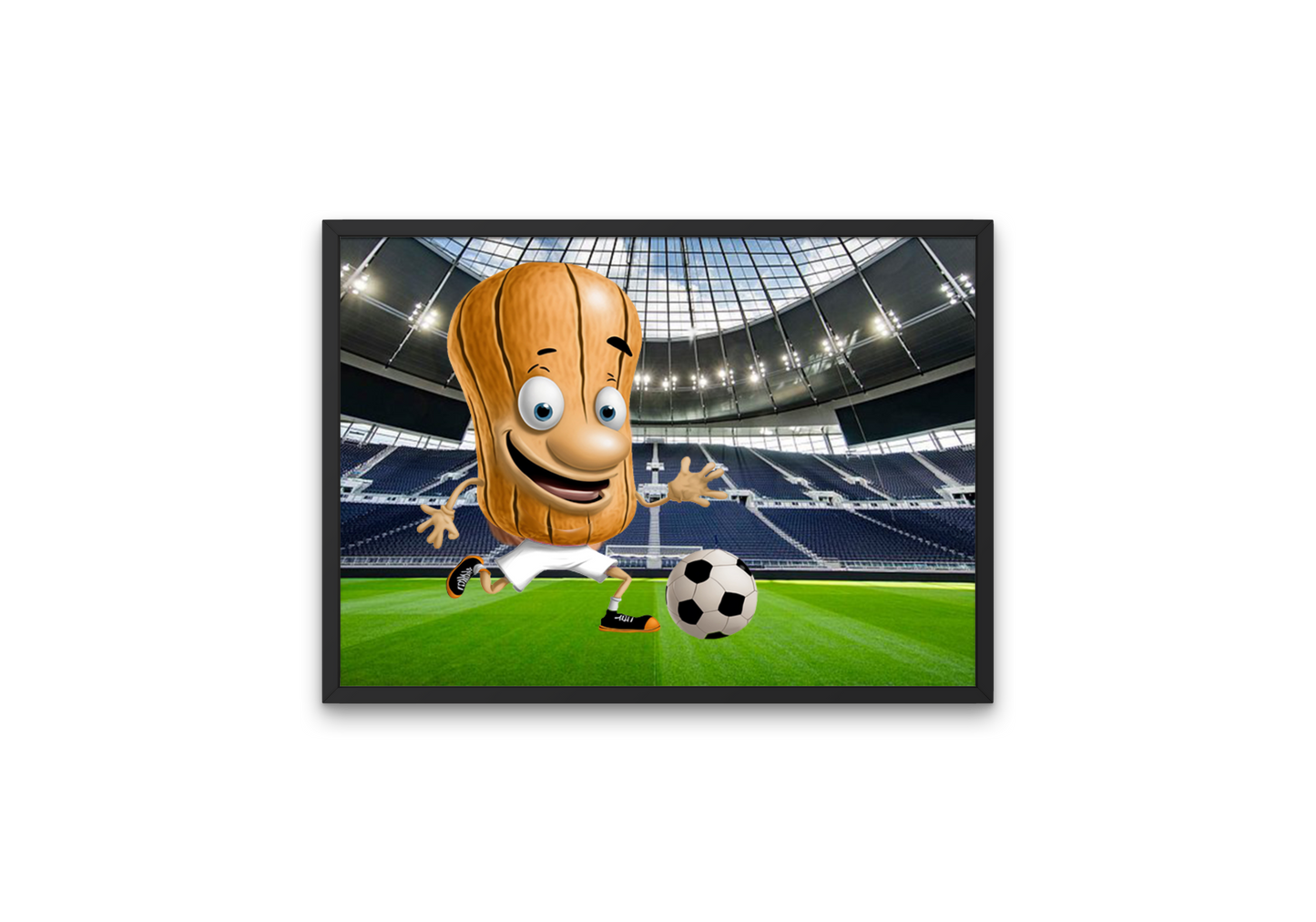 Image of football "nut" at Tottenham Stadium. Perfect gift for Spurs fans